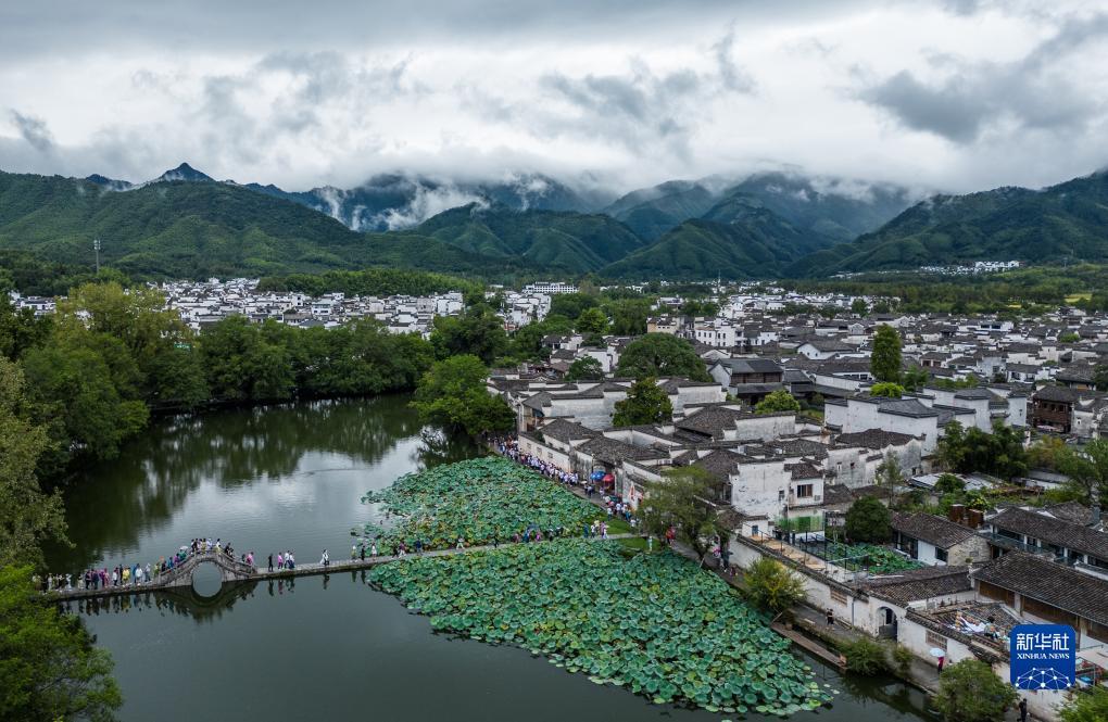 游戏金鲨银鲨